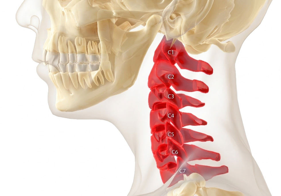 Fisioterapia Cervical en Zaragoza