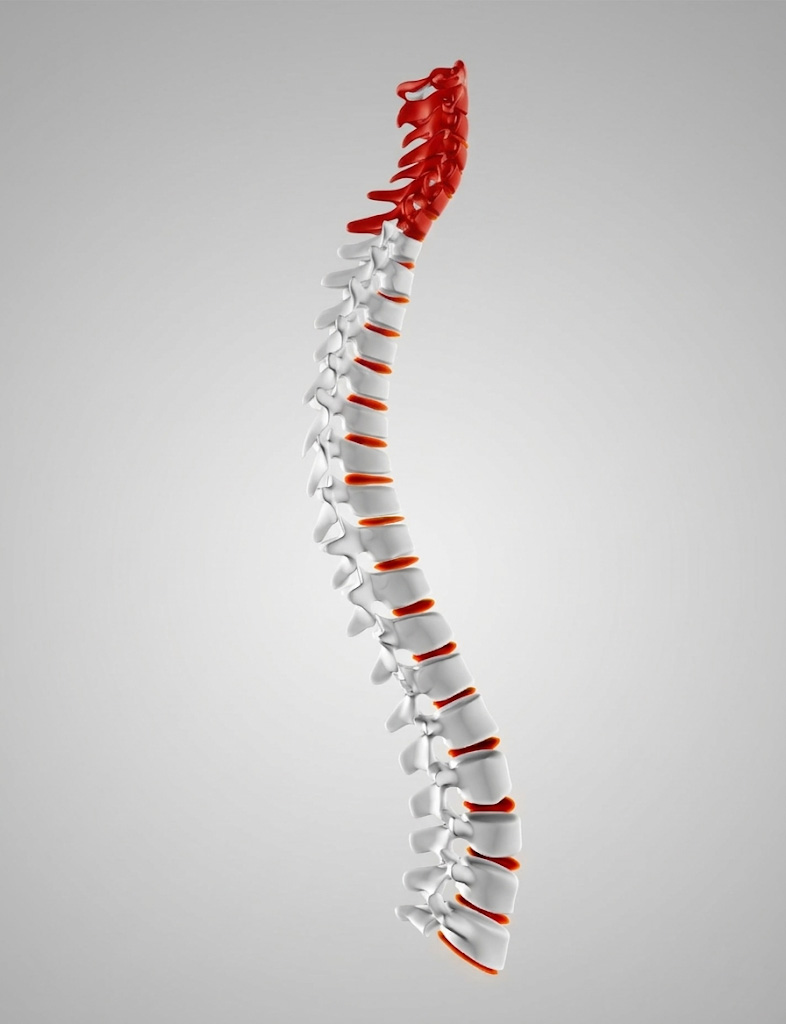Tratamiento de Fisioterapia Cervical Especializada en Zaragoza