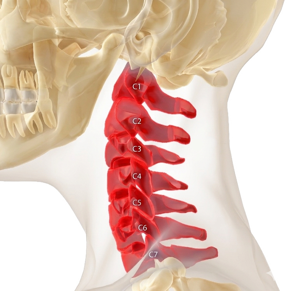 Servicios de Fisioterapia en Zaragoza ATM y dolor orofacial